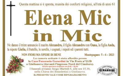 ELENA MIC IN MIC