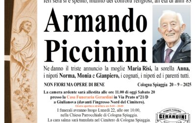 ARMANDO PICCININI