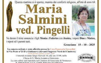 MARIA SALMINI VED.PINGELLI
