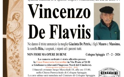 VINCENZO DE FLAVIIS